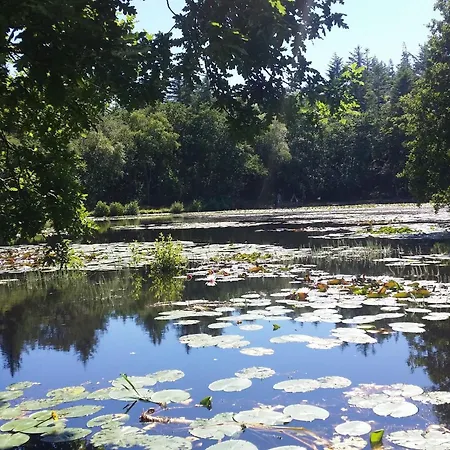 Luxury Retreat By Golf *